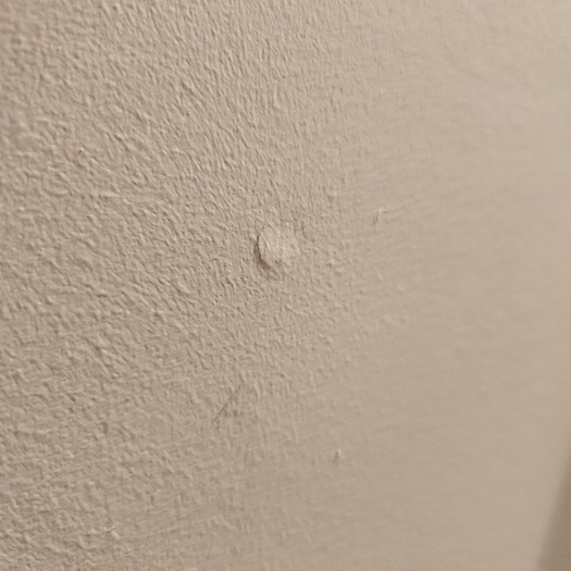drywall screwed.jpg
